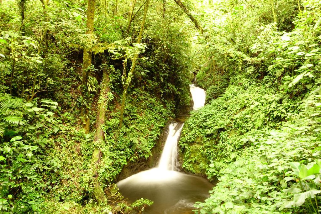 Casa Alquimia Hotel Monteverde Ngoại thất bức ảnh