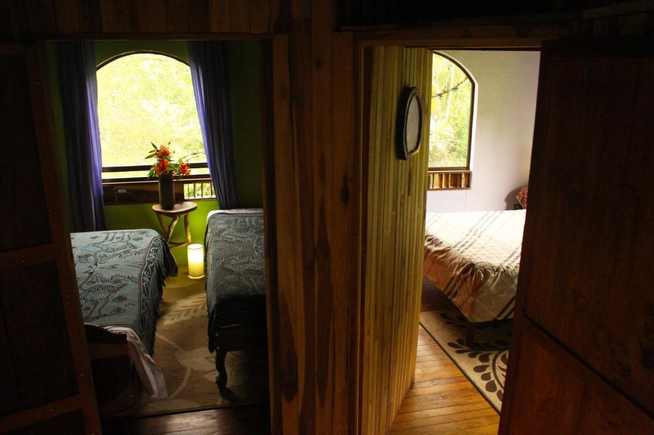 Casa Alquimia Hotel Monteverde Ngoại thất bức ảnh