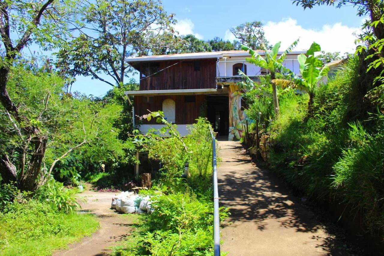 Casa Alquimia Hotel Monteverde Ngoại thất bức ảnh