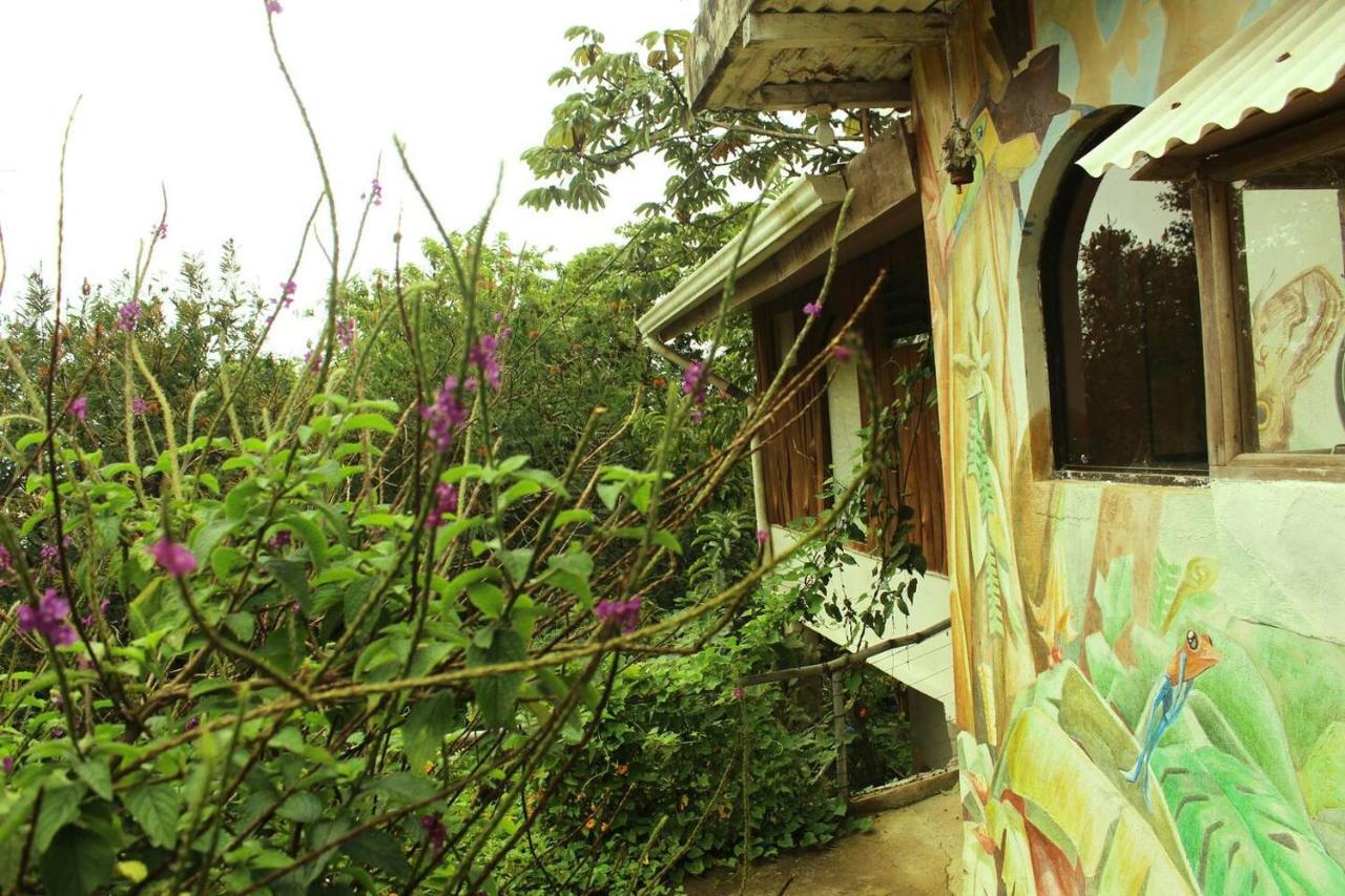 Casa Alquimia Hotel Monteverde Ngoại thất bức ảnh